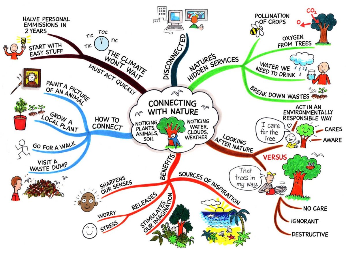 How To Create A Mind Map Examples