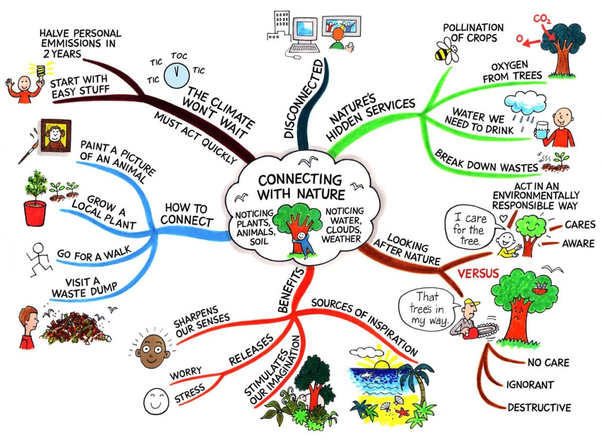 Где нарисовать mind map